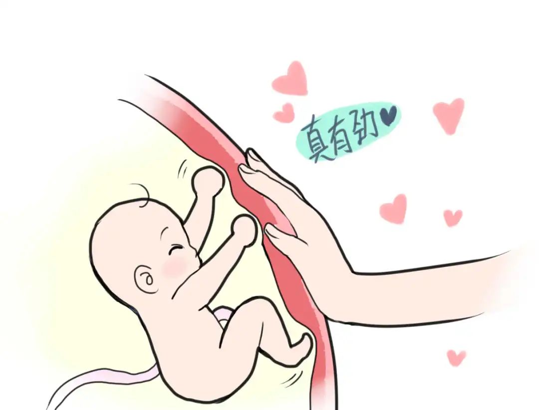 【科普】宝妈攻略：胎动到底有没有必要数？(图2)